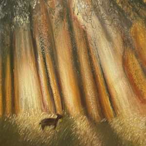 Shimmer in The Woods by Mariah Ke'olani