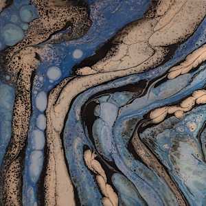 Horse Race by Nicole Warnock