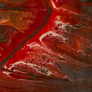 Fireborn by Nicole Warnock 