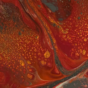 Fireborn by Nicole Warnock 