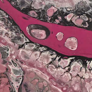 Pink Drift- by Kanon by Nicole Warnock 