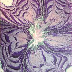 Bloom of Amethyst by Nicole Warnock