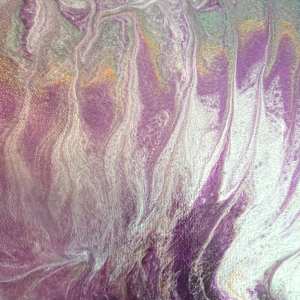 The Silent Shaddow by Nicole Warnock 