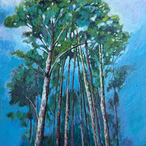 Cape Fear Canopy by Natalie Campbell, Image 2.
