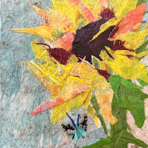 The Beauty in Solo by Natalie Campbell