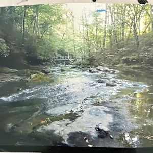 The River’s Grace by Natalie Campbell, Image 2.