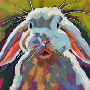 Hello Bunny! by Natalie Campbell