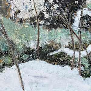 Lichen in Snow by Liz Jackson, Image 1.