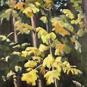 First Leaves Turning by Liz Jackson