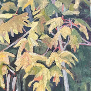 Fall Leaves Turning by Liz Jackson