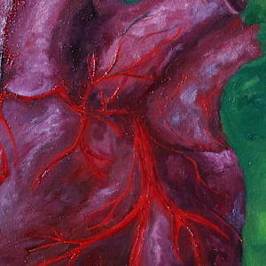 Study of the Heart in Color by Kelly Wein 