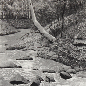 the creek by stephanie Jane Rampton