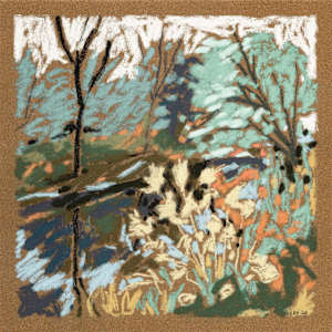 Como Lake Park Afternoon by Lisa Hupf, Image 1.