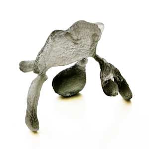 Juggler II 1/7 by Anna Kovina