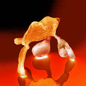 Juggler II (Cadmium) by Anna Kovina