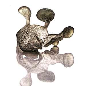 Juggler V 1/200 by Anna Kovina