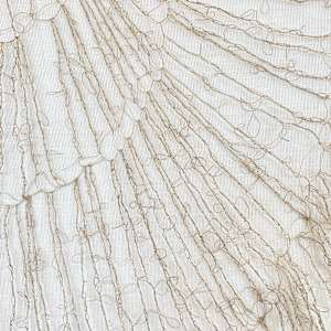 Birth is an act of self-devouring that sets the self free by Monica C. LoCascio 