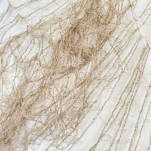 Birth is an act of self-devouring that sets the self free by Monica C. LoCascio 