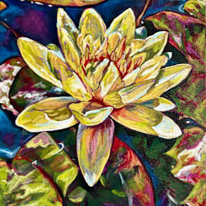 Sun kissed Lily by Karen Bobinski, Image 1.
