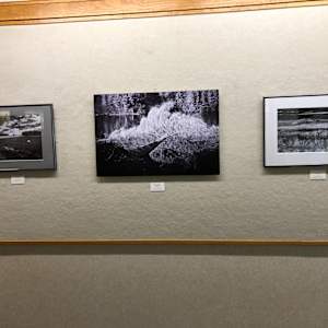 Fallen Beauty by Linda Devenow, Image 4.