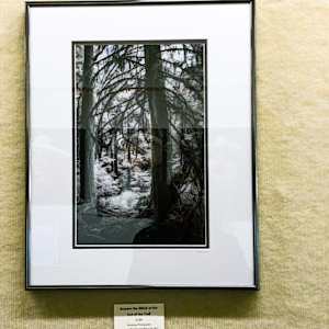 Beware the Witch at the End of the Trail by Linda Devenow, Image 5.