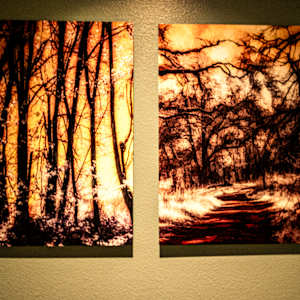 Lace by Linda Devenow  Image: Metal: 24x36" Cropped - Commissioned for Portal Apartments, Eugene Or