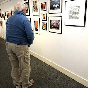 Fly Away, Fly Away by Linda Devenow  Image: Framed: Taken at the opening for the PhotoZone at the Emerald Art Center - Jan 2026 show