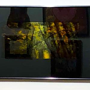 Fall Colors #2 by Linda Devenow  Image: Framed: Maude Kern Member Show, December 2024