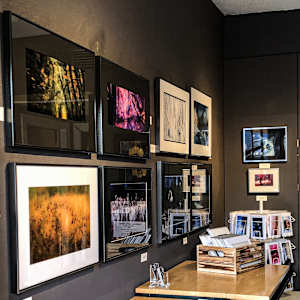 Fall Colors #2 by Linda Devenow  Image: Framed: solo Ethereal exhibit at Walt O'Brien's, Eugene, Oregon, March 2025