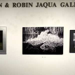 Fallen Beauty by Linda Devenow, Image 8.