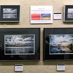 Fern Ridge Pastoral #1 by Linda Devenow  Image: Versions 1 (B&W) and 2 (Muted Color) of Fern Ridge Pastoral images (from Moving Toward the  Expressive solo show June 2022)