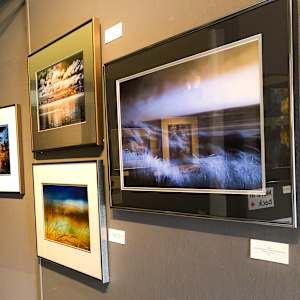 Fern Ridge Pastoral #1 by Linda Devenow  Image: Framed: solo Ethereal at Walt O'Brien's Gallery, March 2025