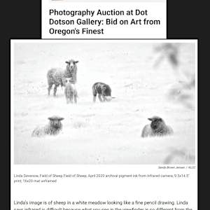 Field of Sheep by Linda Devenow  Image: Viz City Interview - KLCC radio interview - March 2023  <a href="https://www.klcc.org/show/viz-city/2023-05-09/photography-auction-at-dot-dotson-gallery-bid-on-art-from-oregons-finest">KLCC Interview</a>