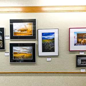 Autumn Gold by Linda Devenow, Image 6.