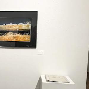 Oregon Coast in a Different Light by Linda Devenow, Image 3.