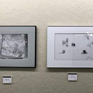 Middle Fork Path by Linda Devenow  Image: Framed: solo Springfield City Hall show, June 2022