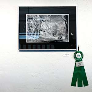 Middle Fork Path by Linda Devenow  Image: Framed: Springfield Mayor show - Awarded Photography at Oregon Donna Gilhoussen Memorial Prize