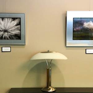 Portrait by Linda Devenow  Image: Framed: solo Tate Art Gallery, Eugene, Oregon June 2023