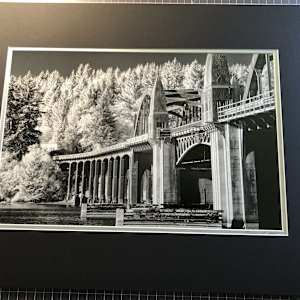 Vivid Summer Foliage by Linda Devenow  Image: Mat Option