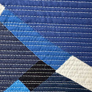 Syncopated Blues by Barbara Danzi 