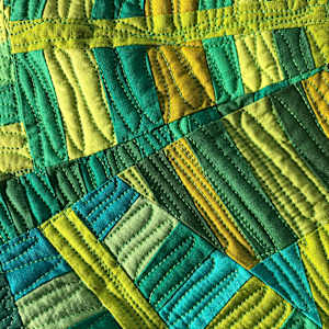 Fern Forest by Barbara Danzi 