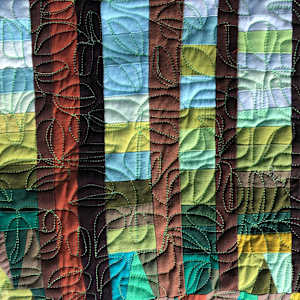 Fern Forest by Barbara Danzi 