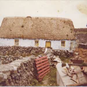 Joe Mairthain's Cottage by Anita Inez White