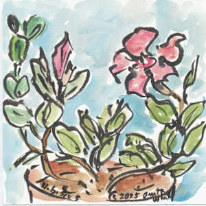 1 Hibiscus by Anita Inez White