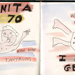 The Adventures and Antics of Baby Anita at Age 70: Humorous Commentary on Aging! by Anita Inez White 