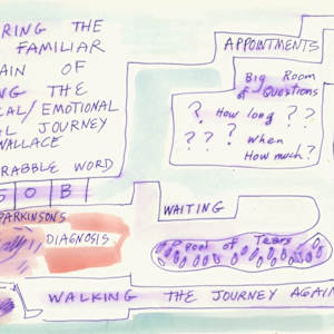 Entering the Medical Labyrinth by Anita Inez White