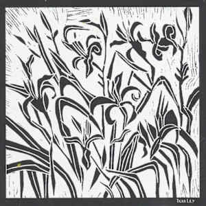 Tiger Lily by Anita Inez White