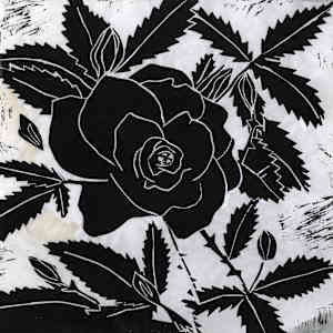 Rose by Anita Inez White