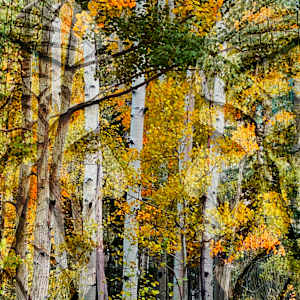 Spirits of the Fall by Michael Hefferon