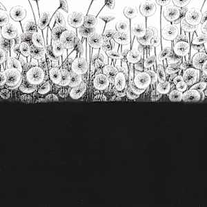 Acetabularia by Aurélie Jourdain